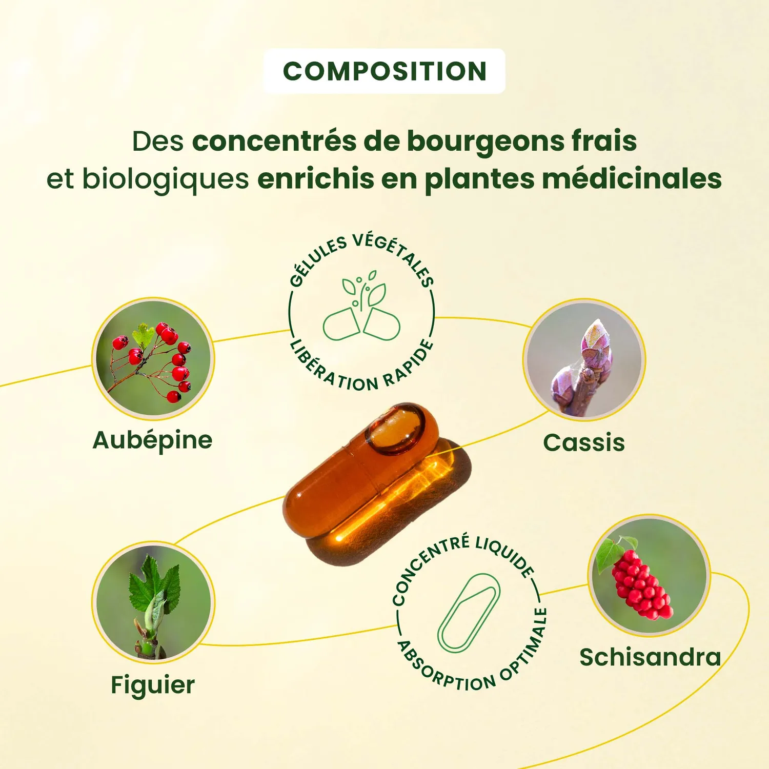 Herbalgem Gemmocaps Relax complément alimentaire calme nervosité