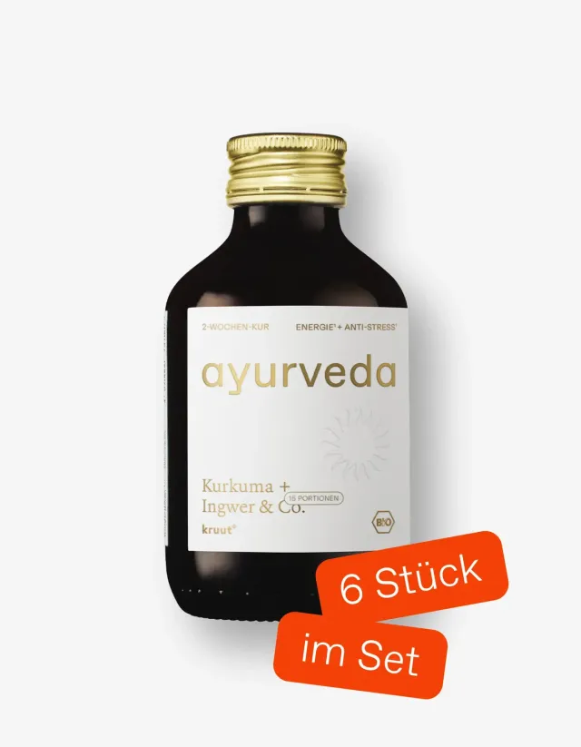 kruut Oxymel Ayurveda vinaigre de miel bio 6 x 150 ml