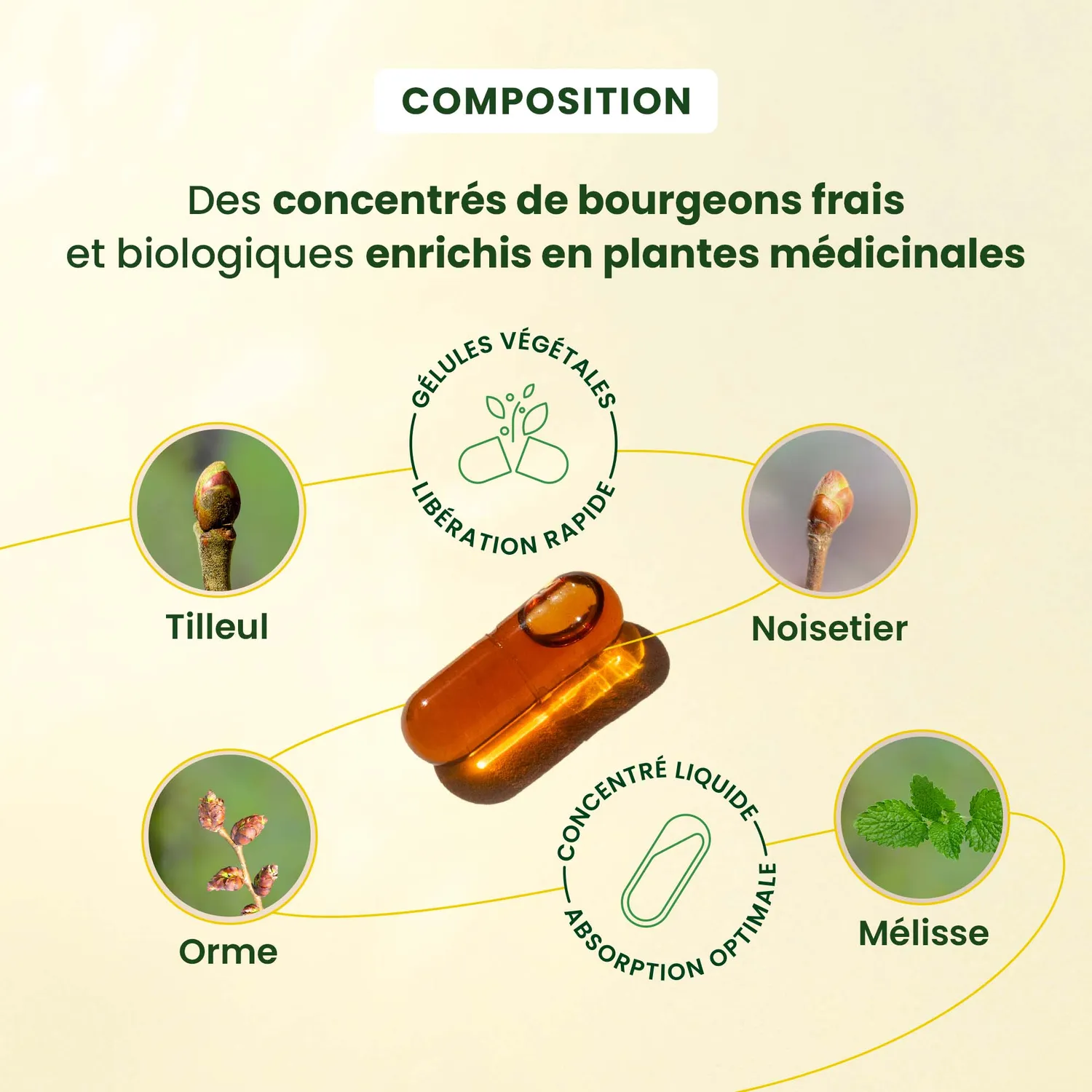 Herbalgem Gemmocaps Sommeil gélules bio sans mélatonine