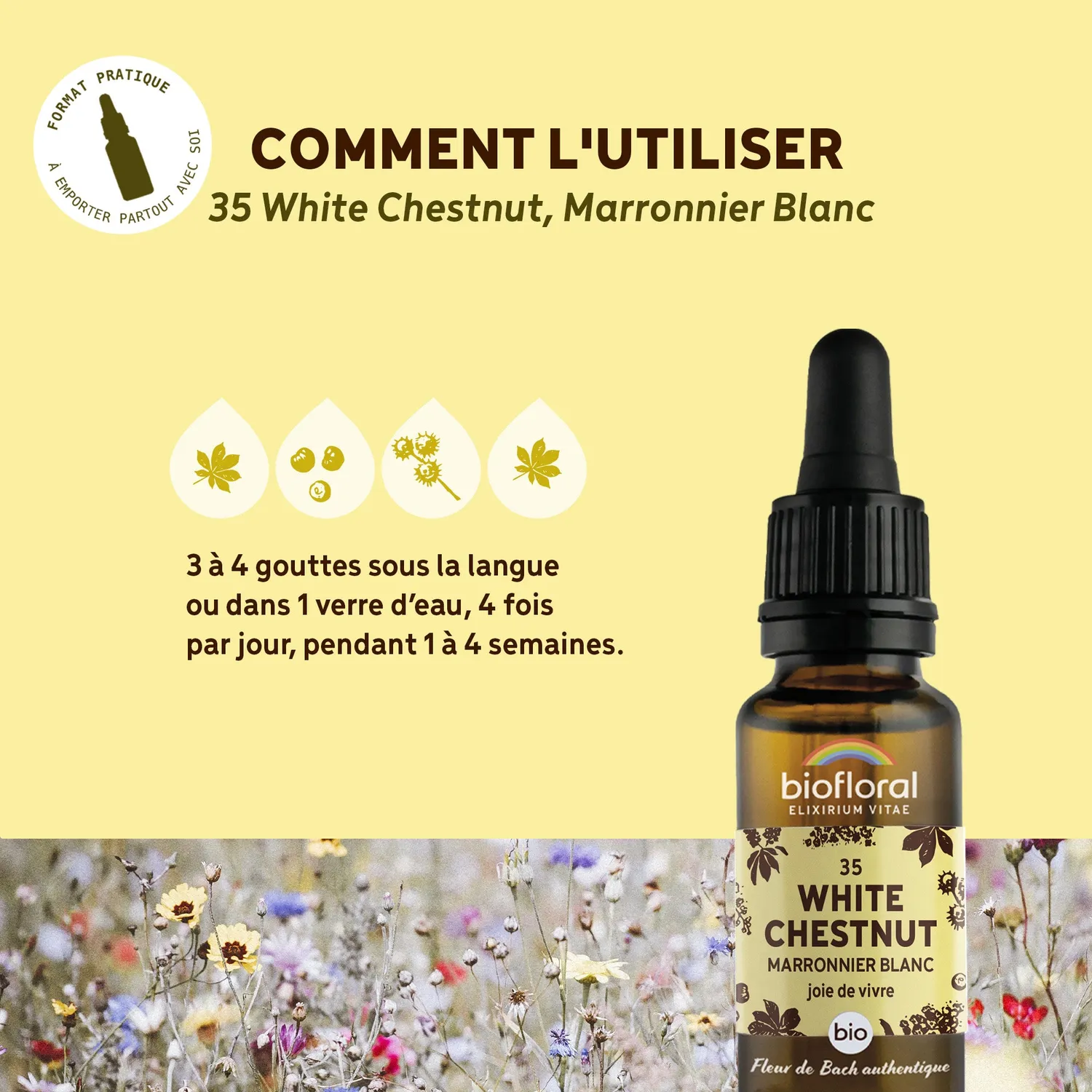HERBALGEM Fleur de Bach n°35 Marronnier Blanc bio