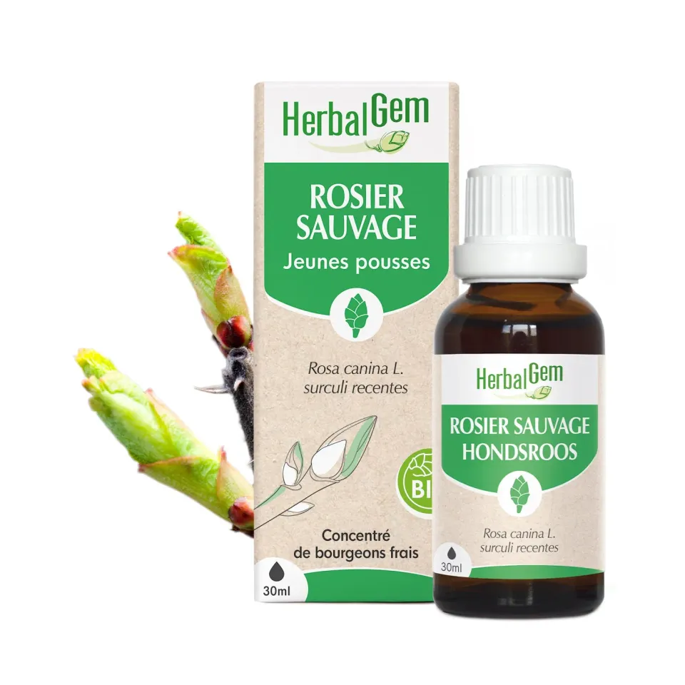 Herbalgem Rosier Sauvage Bio concentré bourgeon défenses