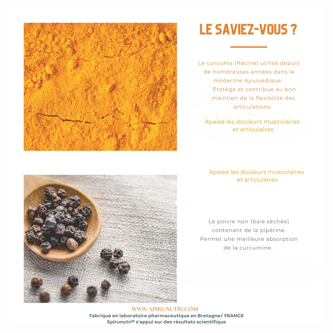 Spirunutri Spiru Arth complement articulaire curcuma bio