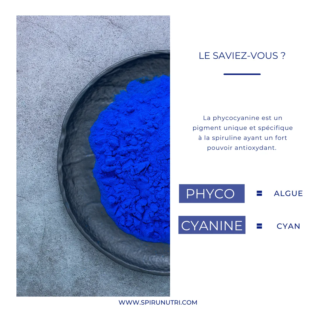 Spirunutri Spiru Paillette complément 1 mois pure