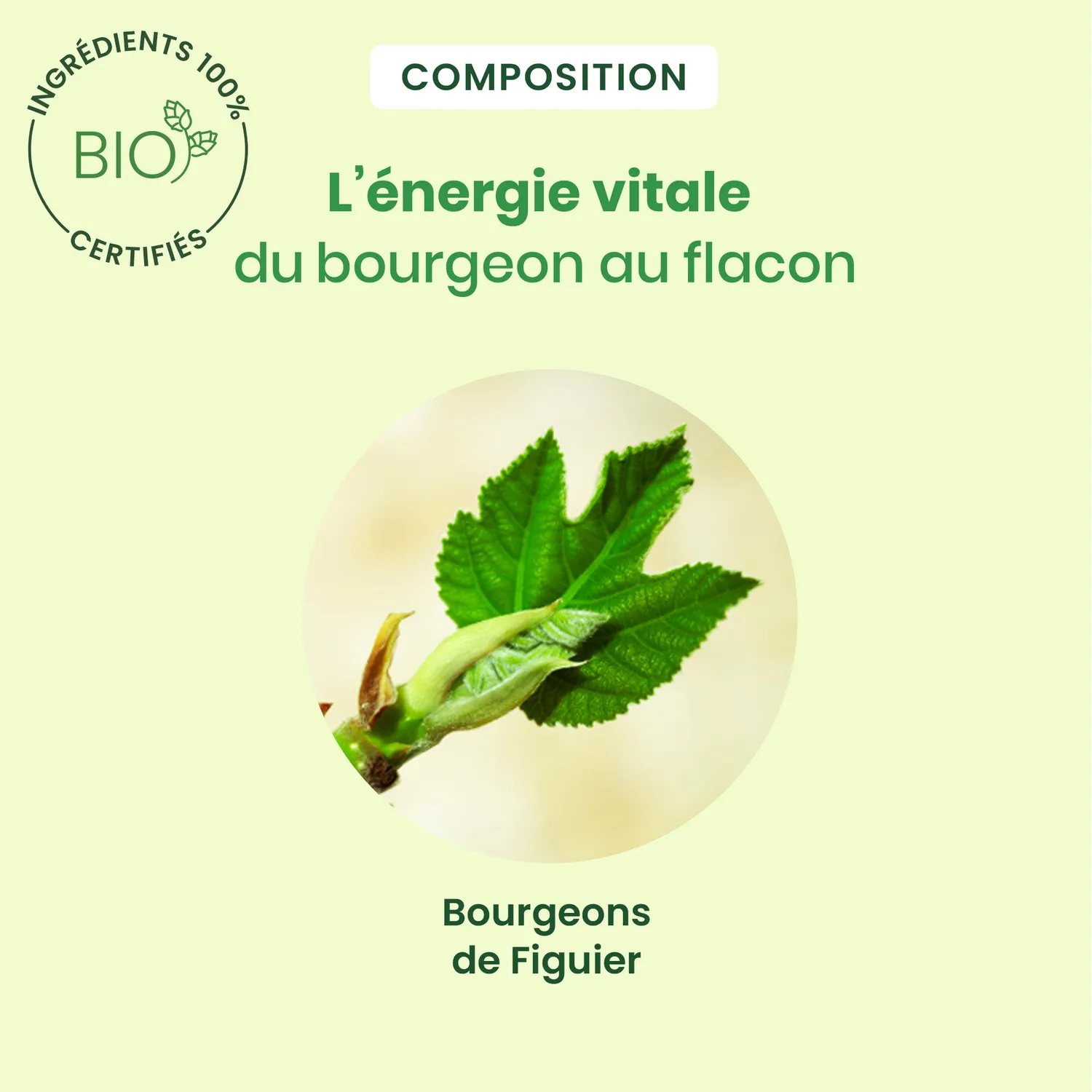 Herbalgem Bourgeon de Figuier Macérat Bio Confort Digestif
