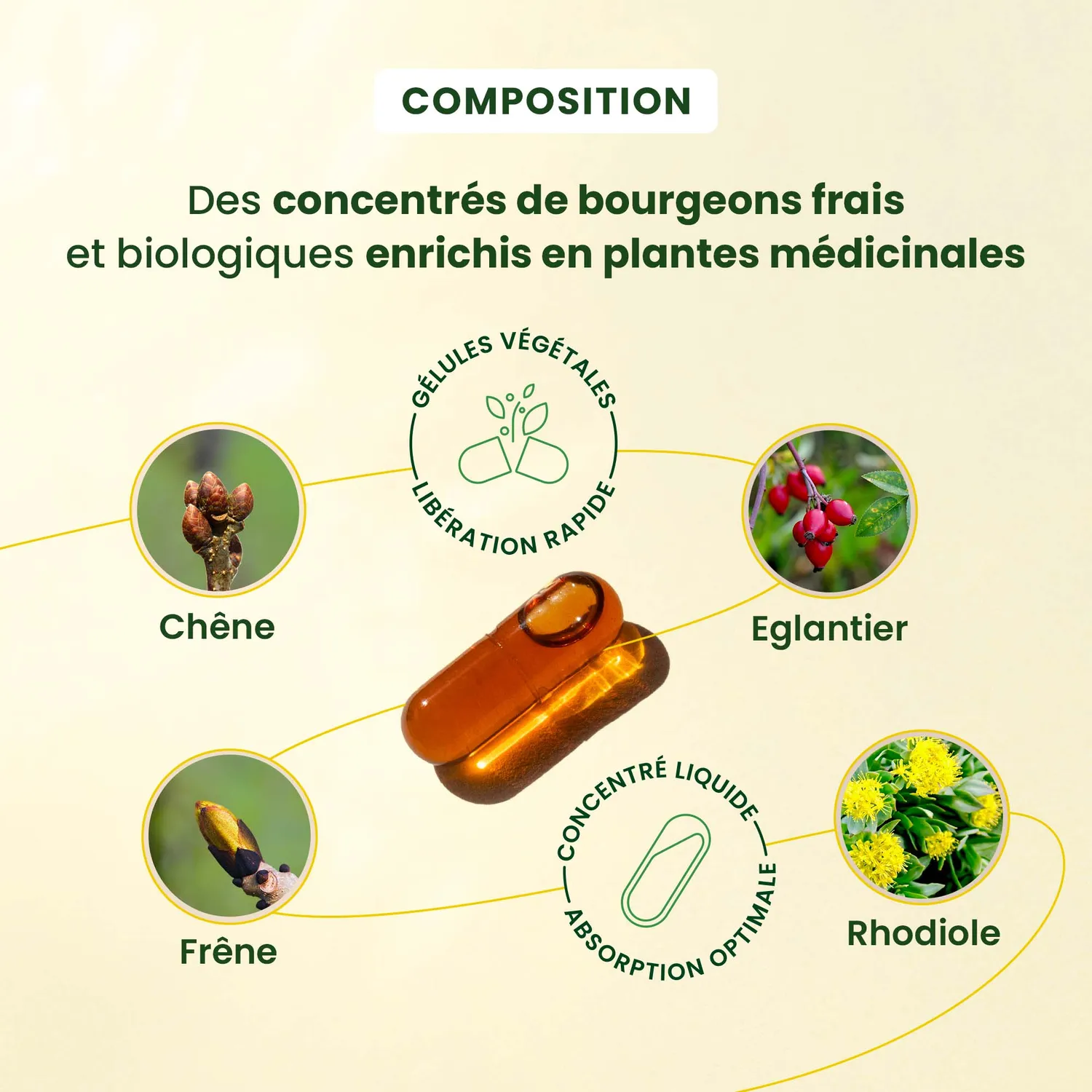 Herbalgem Gemmocaps Moral+ complément alimentaire humeur