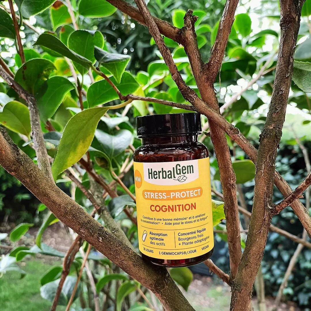 HERBALGEM Gemmocaps Cognition gélules mémoire 30 jours