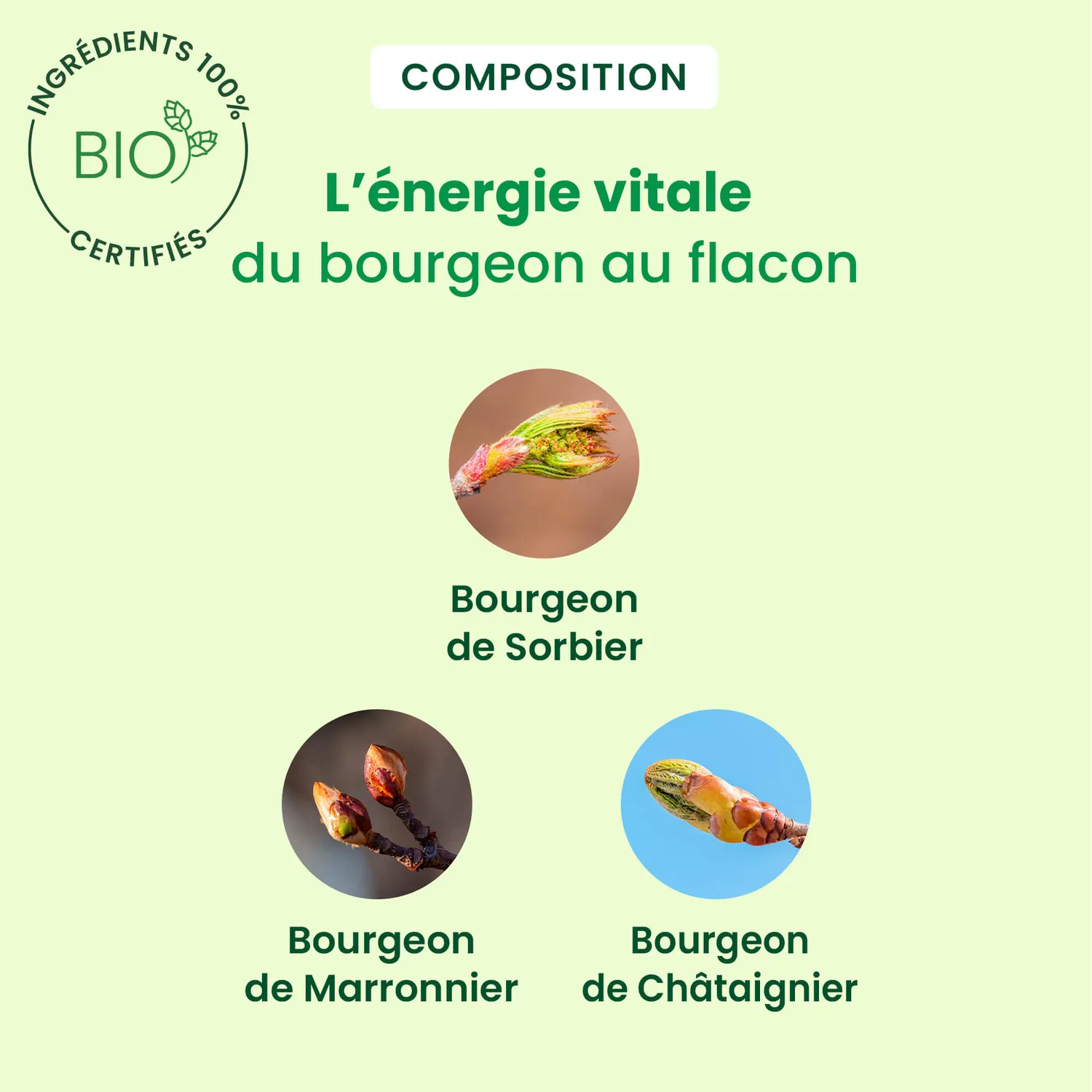HERBALGEM VenaGem spray jambes lourdes bio circulation