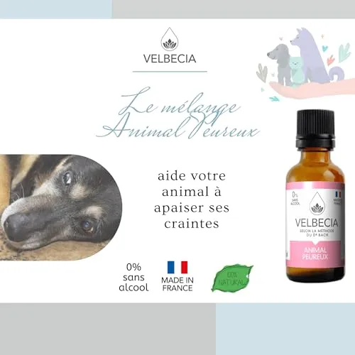 Velbecia Animal Peureux Élixir Sans Alcool 30ml Orage