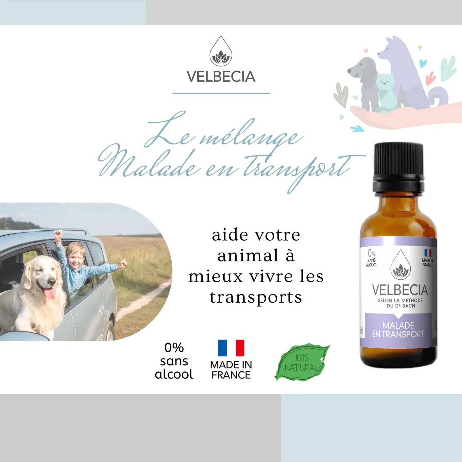 Velbecia Animal Malade Voiture élixir 2x30ml chat chien