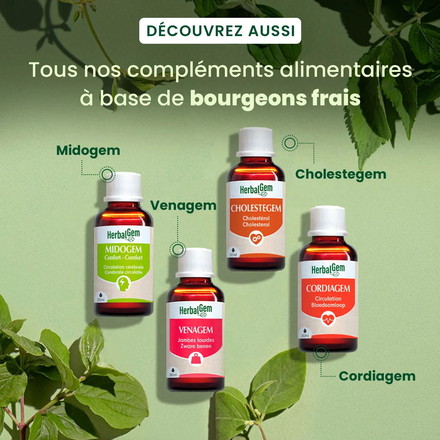 Herbalgem Cholestegem complexe bourgeons bio cholestérol