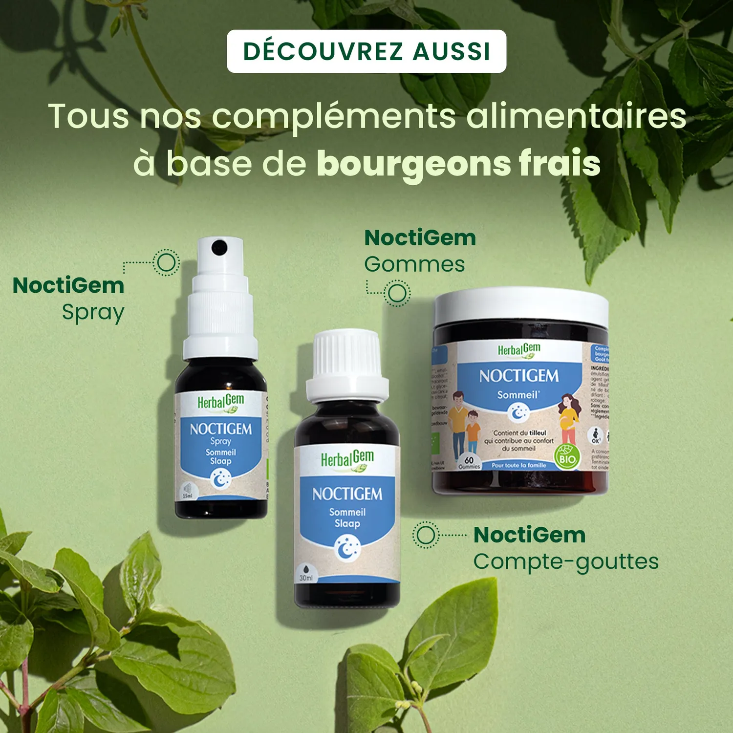 Herbalgem Noctigem spray sommeil tilleul bio